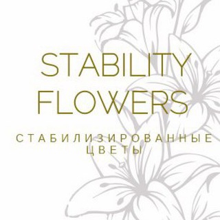 Юлия_Стабилизированные цветы _ Stability_flowers букет Казань, доставка цветов