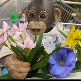 Обезьянка Тошка🍕🤘