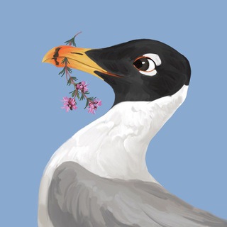 Степной Альбом