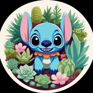 Стич и суккуленты