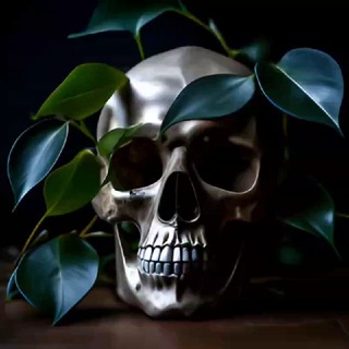 ♻️𝐒𝐮𝐜𝐜𝐮𝐇𝐚𝐰♻️