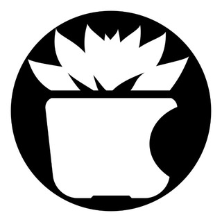 Суккуленты от СУККУБАНДЫ