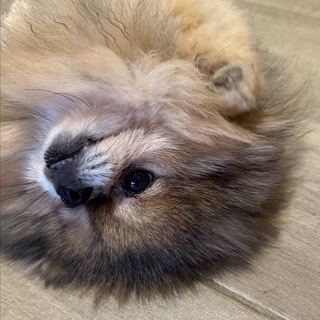 БАСЯ РАССКАЖЕТ