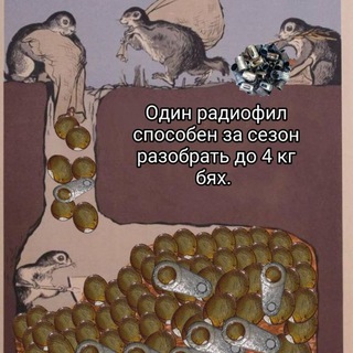 Радиоактивные материалы