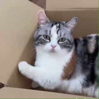 Suu and her family 🐾