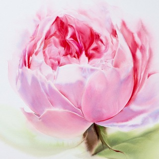 🌸Свирель Любви🌸