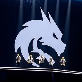 Team Spirit Fan Page | CS 2