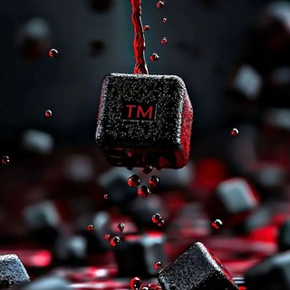 TM (ЗАРАБОТОК)