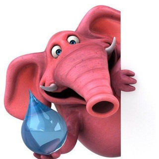 РОЗОВЫЙ СЛОН | Тур.компания с Власенко Оксана ✈️