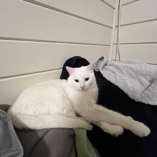 Жизнь школьника