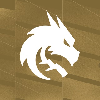 Team Spirit PUBG MOBILE