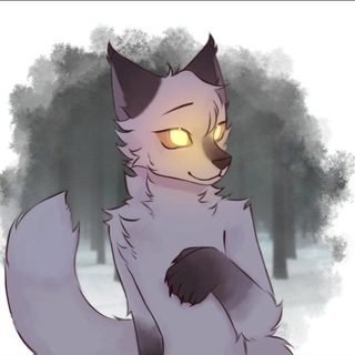 Fox Tales .𖥔 ݁ ˖⋆ ˚❆