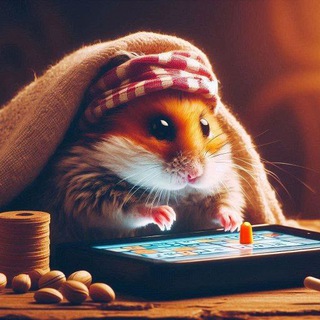 Комбо и Коды TapOldHamster