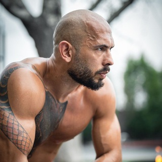 Andrew Tate | Эндрю Тейт