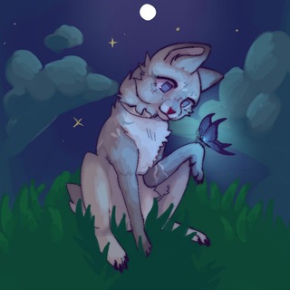 - `` Teffy home •🪽🪷