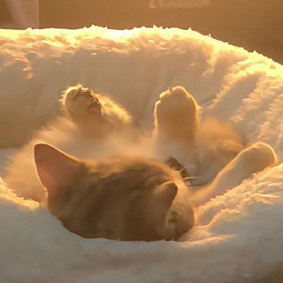 « ೀТёплые сердцаᡴꪫ »