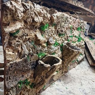 TerraFon: Выбор террариума