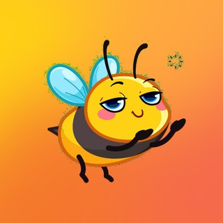 The Beauty Expedition