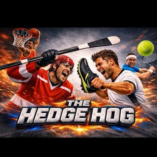 The Hedge Hog | Беттинг
