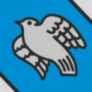 Курские Истории