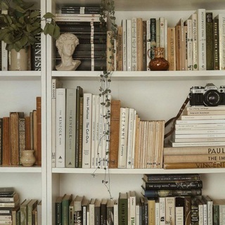 Книжный лес📚🌲