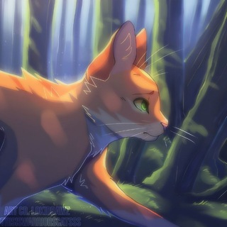 Wᴀrriᴏrs Cᴀᴛs | Коты-Воители | @TIWC