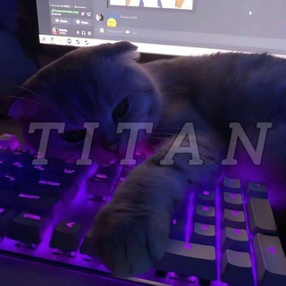 𝗧𝗜𝗧𝗔𝗡 Тиᴛиᴋᴀᴋи🙄