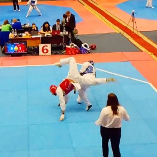 Taekwondo
