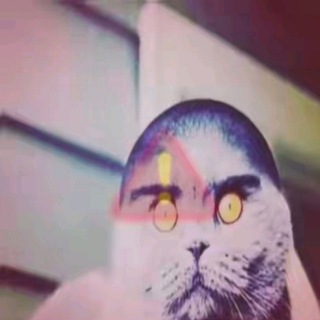 Тольчик ❄️