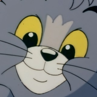 Тот самый стример