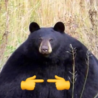 Антошенька Мюзик