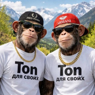 Ton для своих