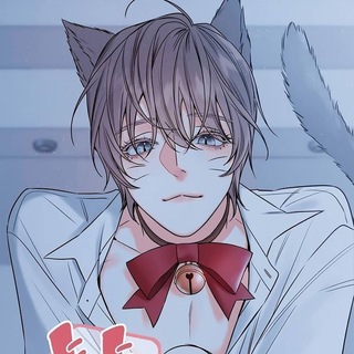 𝙏𝙤𝙧𝙩𝙞𝙠៹˖