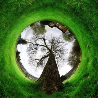 Трава у Дома/ Ландшафтный дизайн