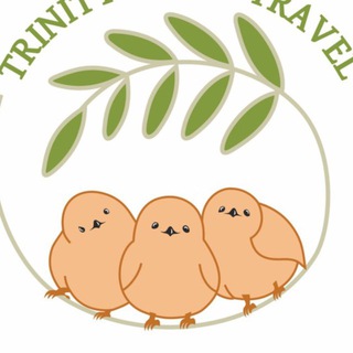 Турагентство «Тринити Мамс Тревел»