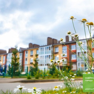 ЦАРЁВО village NEWS