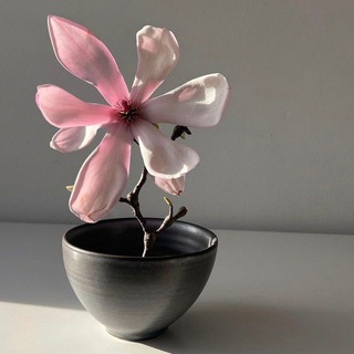 ВАША МОТИВАЦИЯ