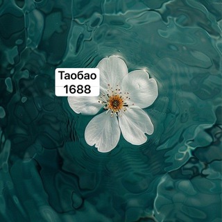 ВЫКУП товара из КИТАЯ