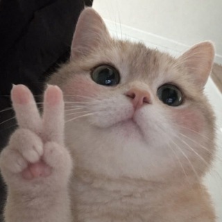 🌸Котяткин дом🌸