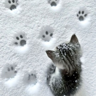 stoplyingtoyourself.