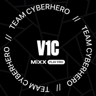 гаражные моменты V1Ca