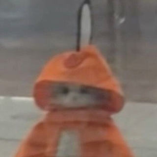 Всеволод Елесин⚡