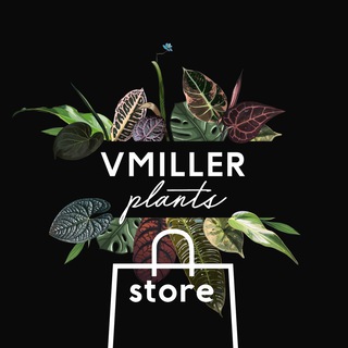 VMILLER plants🌱 store