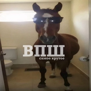 ВПШ фандома WHI