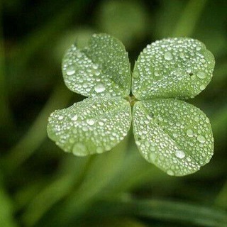 Фокусы Жизни