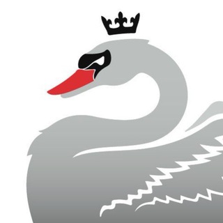 Войковский - Live