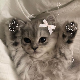 ВЗАИМНЫЕ ПОДПИСКИ | РЕАКЦИИ