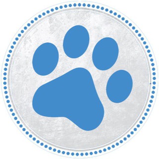 В Мире Животных – Москва (дайджест)