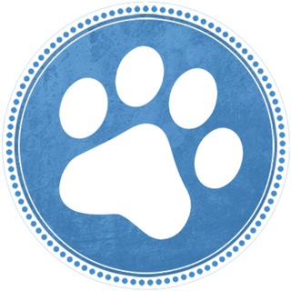 В мире животных (дайджест)