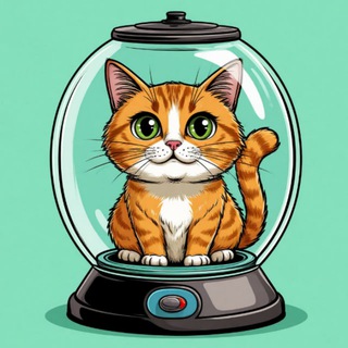 Вакуумный кот